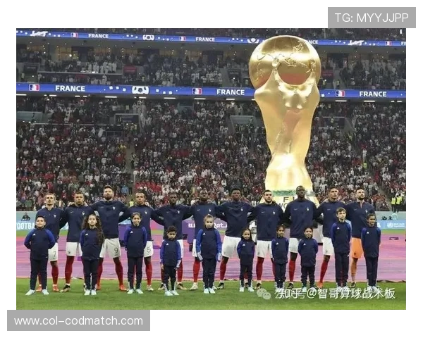 世界杯法国vs塞内加尔比赛场地设施条件及其对球队表现的影响